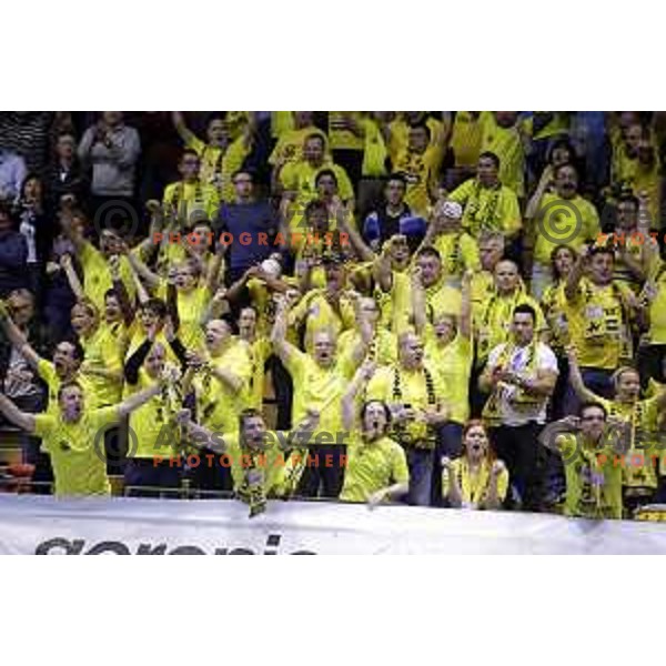 of Gorenje Velenje in action during EHF Cup handball match between Gorenje Velenje (SLO) and Hamburg in Red Hall, Velenje, Slovenija on March 14, 2015