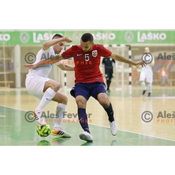 Rok Mordej of Slovenia during futsal match Slovenia-Noreway in European Futsal Championships Qualifiers in group 5 in Tri Lilije, Lasko, Slovenia on March 18, 2015