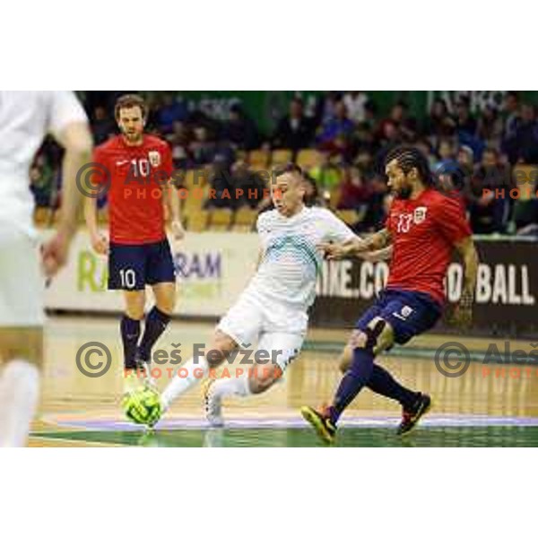 of Slovenia during futsal match Slovenia-Noreway in European Futsal Championships Qualifiers in group 5 in Tri Lilije, Lasko, Slovenia on March 18, 2015
