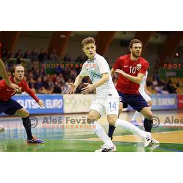 Matej Fidersek of Slovenia during futsal match Slovenia-Noreway in European Futsal Championships Qualifiers in group 5 in Tri Lilije, Lasko, Slovenia on March 18, 2015