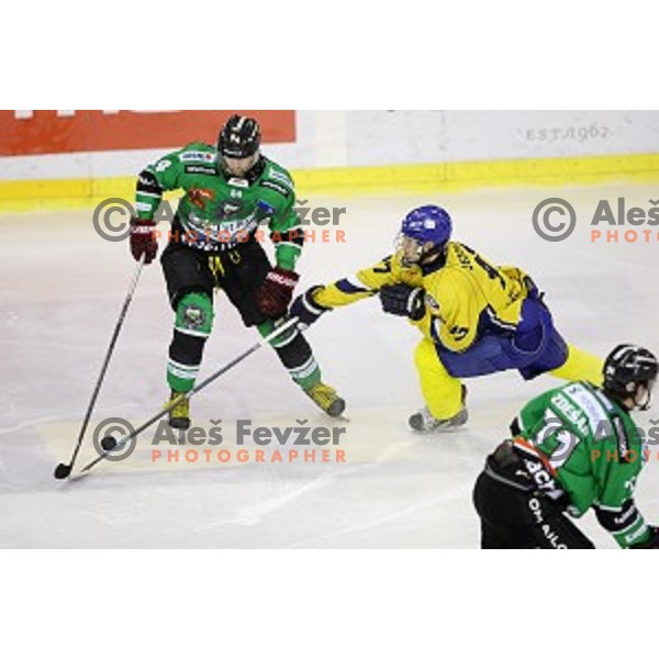 of Telemach Olimpija in action during semi-final of Slovenian ice-hockey Championships between Telemach Olimpija and Celje in Tivoli Hall, Ljubljana, Slovenia on March 27, 2015