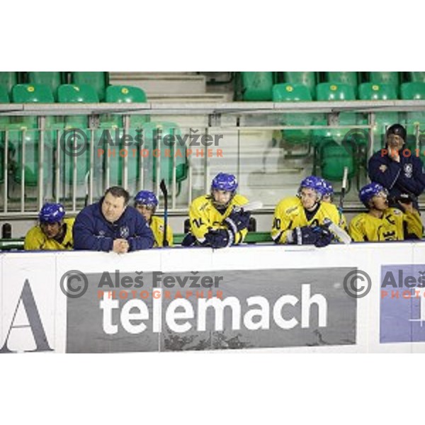 of Telemach Olimpija in action during semi-final of Slovenian ice-hockey Championships between Telemach Olimpija and Celje in Tivoli Hall, Ljubljana, Slovenia on March 27, 2015