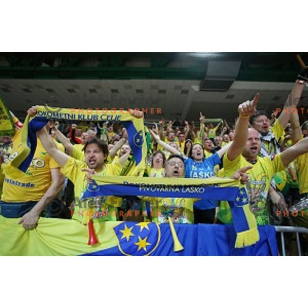 Players of Celje PL celebrate victory in Slovenian Handball Cup 2015 between Celje Pivovarna Lasko and Gorenje Velenje in Arena Bonifika, Koper, Slovenia on March 29, 2105