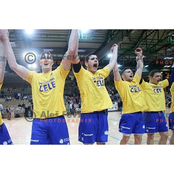 action during final match at Slovenian Handball Cup 2015 between Celje Pivovarna Lasko and Gorenje Velenje in Arena Bonifika, Koper, Slovenia on March 29, 2105