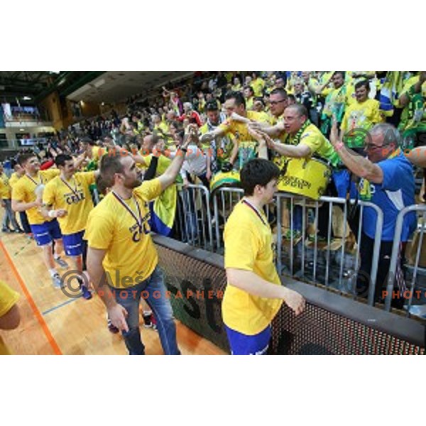 action during final match at Slovenian Handball Cup 2015 between Celje Pivovarna Lasko and Gorenje Velenje in Arena Bonifika, Koper, Slovenia on March 29, 2105