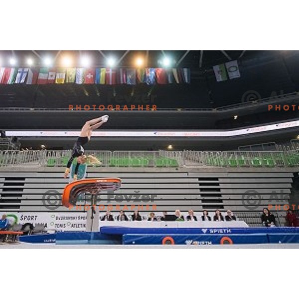 Teja Belak (SLO) in action during Arstistic Gymnastics World Challange Cup Ljubljana 2015, in Stozice Hall,Ljubljana, Slovenia, on April 4th, 2015
