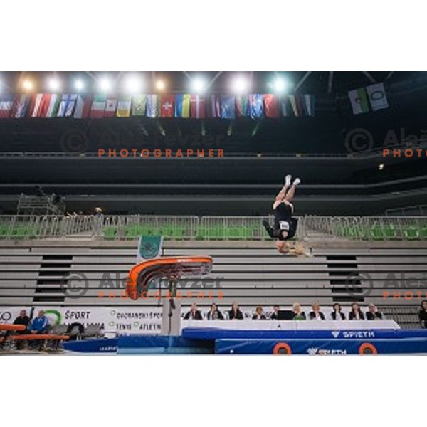 Teja Belak (SLO) in action during Arstistic Gymnastics World Challange Cup Ljubljana 2015, in Stozice Hall,Ljubljana, Slovenia, on April 4th, 2015