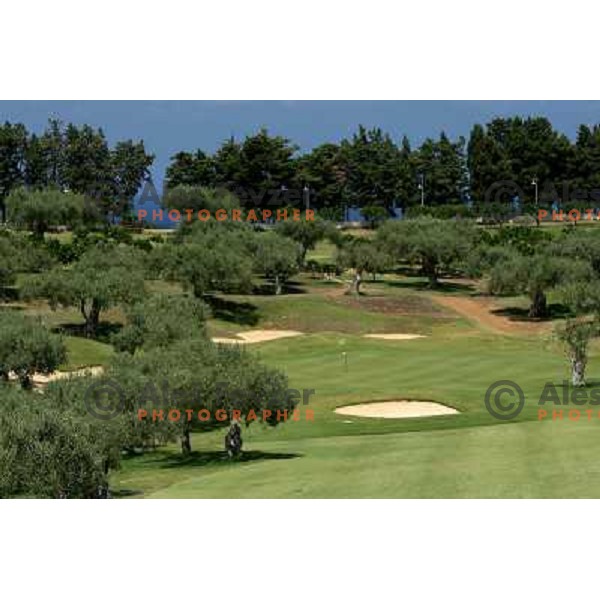 Green of 18th hole at Le Madonie golf club,Collesano, Sicily, Italia. Photo by Ales Fevzer 