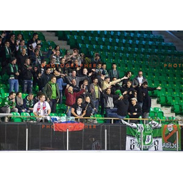 Fans of Telemach Olimpija during ice hockey match of Slovenian National League Final in Season 2014/15 between HDD Telemach Olimpija and HDD SIJ Acroni Jesenice, played in Tivoli Hall, Ljubljana, Slovenia, on April 9th, 2015