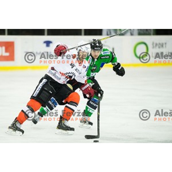 Action during ice hockey match of Slovenian National League Final in Season 2014/15 between HDD Telemach Olimpija and HDD SIJ Acroni Jesenice, played in Tivoli Hall, Ljubljana, Slovenia, on April 9th, 2015