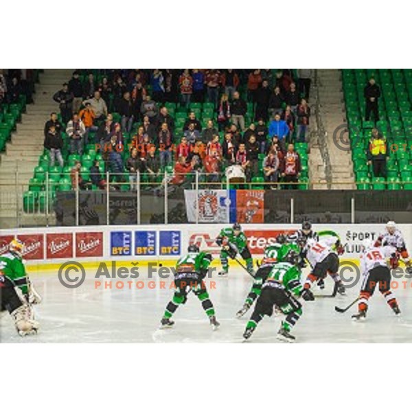 Action during ice hockey match of Slovenian National League Final in Season 2014/15 between HDD Telemach Olimpija and HDD SIJ Acroni Jesenice, played in Tivoli Hall, Ljubljana, Slovenia, on April 9th, 2015