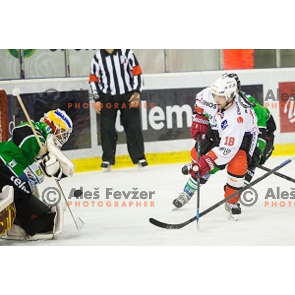Marjan Manfreda of SIJ Acroni Jesenice in action during ice hockey match of Slovenian National League Final in Season 2014/15 between HDD Telemach Olimpija and HDD SIJ Acroni Jesenice, played in Tivoli Hall, Ljubljana, Slovenia, on April 9th, 2015