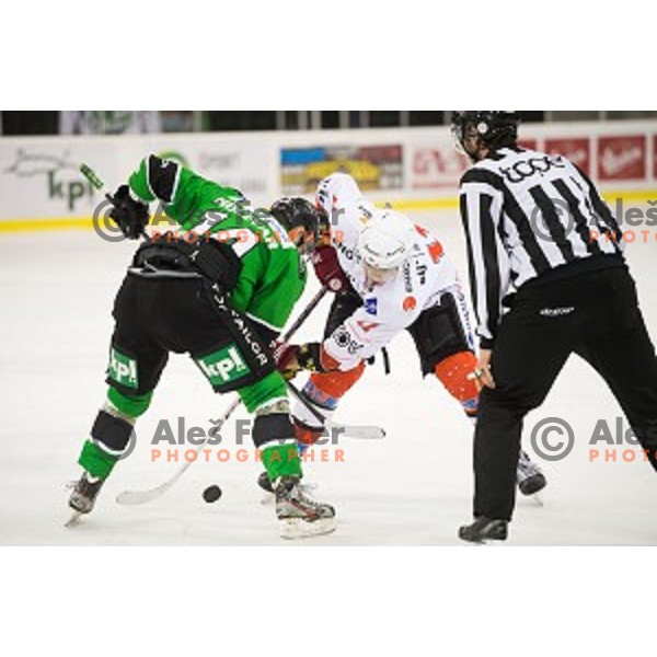 Nik Pem of SIJ Acroni Jesenice in action during ice hockey match of Slovenian National League Final in Season 2014/15 between HDD Telemach Olimpija and HDD SIJ Acroni Jesenice, played in Tivoli Hall, Ljubljana, Slovenia, on April 9th, 2015