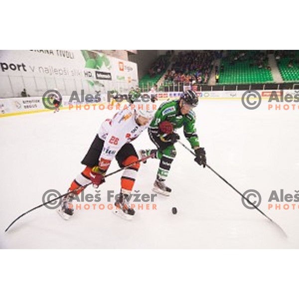 Nejc Berlisk of SIJ Acroni Jesenice and Sebastjan Hadzic of Telemach Olimpija in action during ice hockey match of Slovenian National League Final in Season 2014/15 between HDD Telemach Olimpija and HDD SIJ Acroni Jesenice, played in Tivoli Hall, Ljubljana, Slovenia, on April 9th, 2015