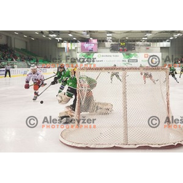 Action during ice hockey match of Slovenian National League Final in Season 2014/15 between HDD Telemach Olimpija and HDD SIJ Acroni Jesenice, played in Tivoli Hall, Ljubljana, Slovenia, on April 9th, 2015