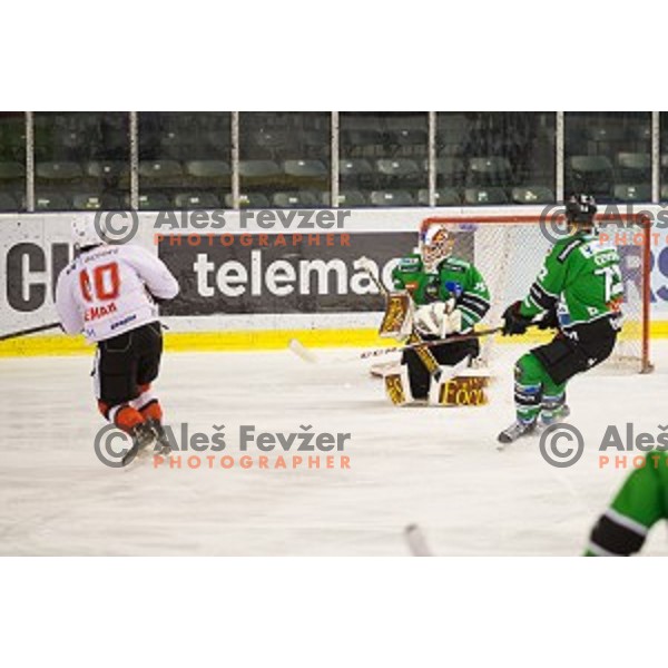 Mika Wiikman of Telemach Olimpija in action during ice hockey match of Slovenian National League Final in Season 2014/15 between HDD Telemach Olimpija and HDD SIJ Acroni Jesenice, played in Tivoli Hall, Ljubljana, Slovenia, on April 9th, 2015