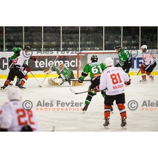 Action during ice hockey match of Slovenian National League Final in Season 2014/15 between HDD Telemach Olimpija and HDD SIJ Acroni Jesenice, played in Tivoli Hall, Ljubljana, Slovenia, on April 9th, 2015