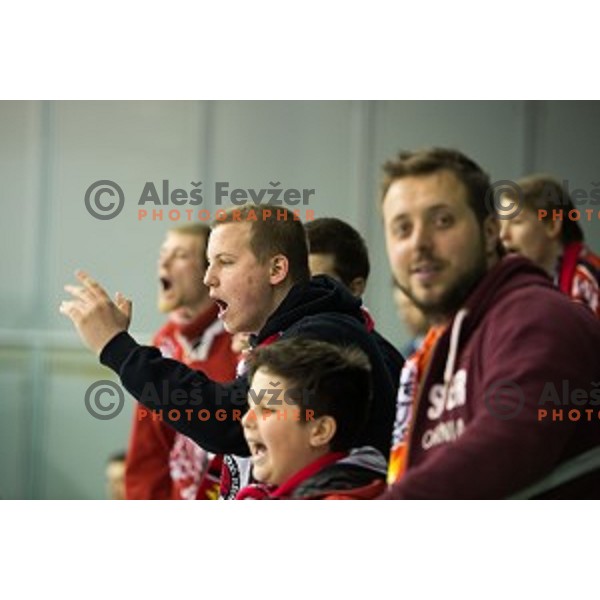 Fans of SIJ Acroni Jesenice during ice hockey match of Slovenian National League Final in Season 2014/15 between HDD Telemach Olimpija and HDD SIJ Acroni Jesenice, played in Tivoli Hall, Ljubljana, Slovenia, on April 9th, 2015