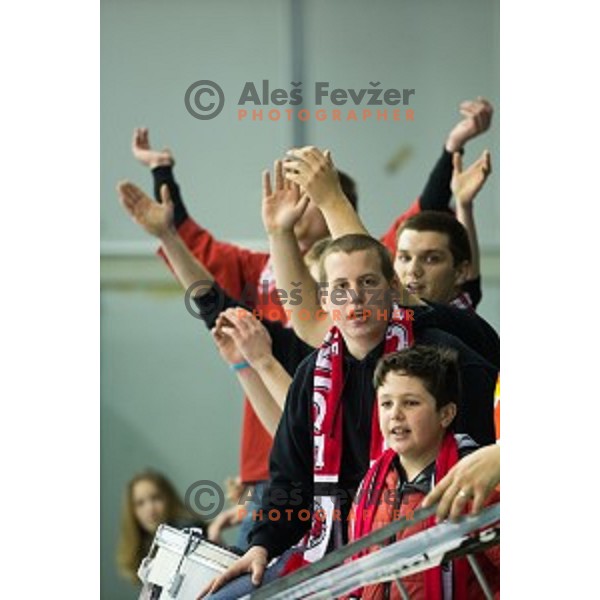 Fans of SIJ Acroni Jesenice during ice hockey match of Slovenian National League Final in Season 2014/15 between HDD Telemach Olimpija and HDD SIJ Acroni Jesenice, played in Tivoli Hall, Ljubljana, Slovenia, on April 9th, 2015