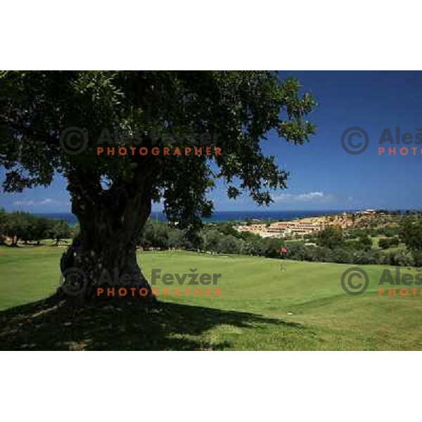 Green of hole 4 (191 meters, par3) at Le Madonie golf club,Collesano, Sicily, Italia. Photo by Ales Fevzer 