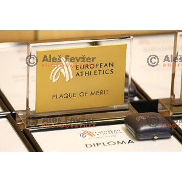 European Athletics Congress Bled 2015 held in Brdo Congress Centre, Slovenia on April 11, 2015