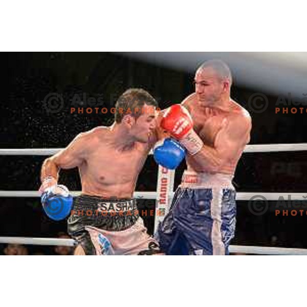 Dejan Zavec fights with Sasha Yengoyan for WBF world champion title in Tabor Hall, Maribor, 11.4.2015