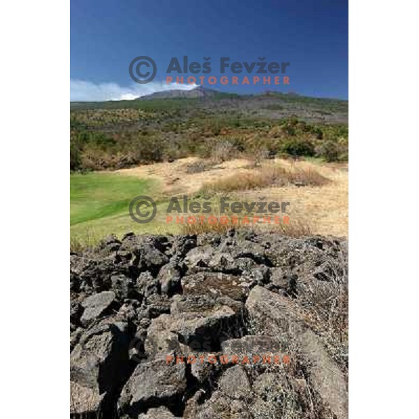 Etna from Il Picciolo golf club,Sicily,Italia. Photo by Ales Fevzer 