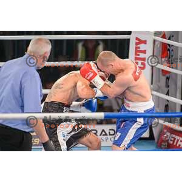 Dejan Zavec fights with Sasha Yengoyan for WBF world champion title in Tabor Hall, Maribor, 11.4.2015