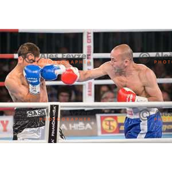Dejan Zavec fights with Sasha Yengoyan for WBF world champion title in Tabor Hall, Maribor, 11.4.2015