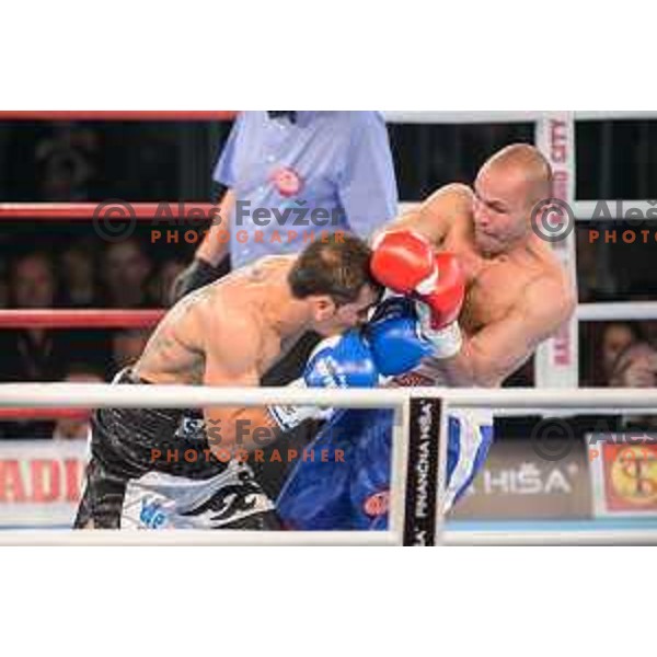 Dejan Zavec fights with Sasha Yengoyan for WBF world champion title in Tabor Hall, Maribor, 11.4.2015