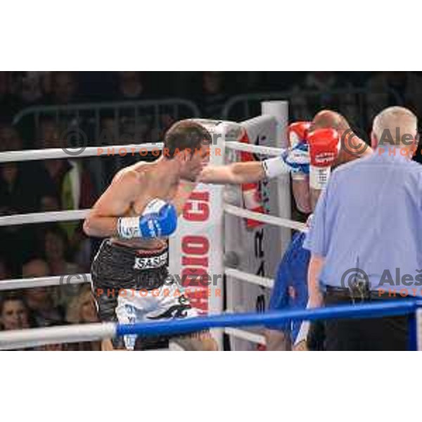 Dejan Zavec fights with Sasha Yengoyan for WBF world champion title in Tabor Hall, Maribor, 11.4.2015