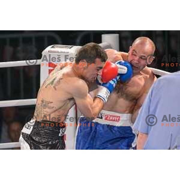 Dejan Zavec fights with Sasha Yengoyan for WBF world champion title in Tabor Hall, Maribor, 11.4.2015