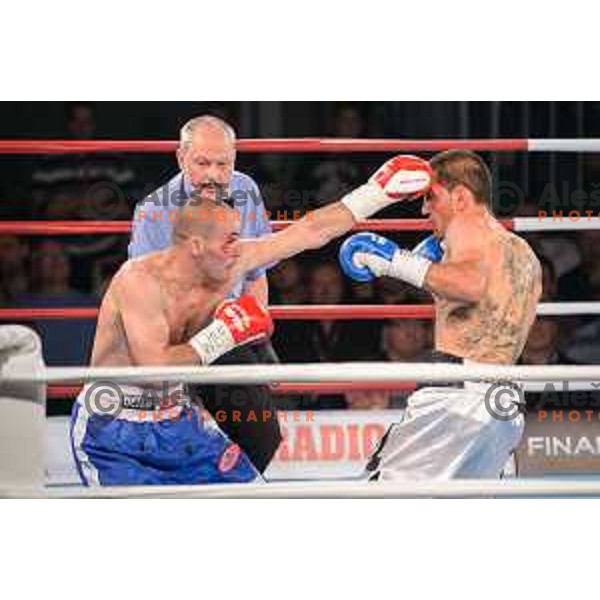 Dejan Zavec fights with Sasha Yengoyan for WBF world champion title in Tabor Hall, Maribor, 11.4.2015