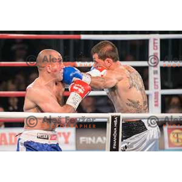 Dejan Zavec fights with Sasha Yengoyan for WBF world champion title in Tabor Hall, Maribor, 11.4.2015