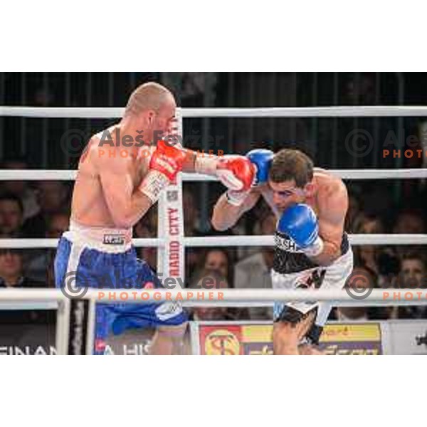 Dejan Zavec fights with Sasha Yengoyan for WBF world champion title in Tabor Hall, Maribor, 11.4.2015