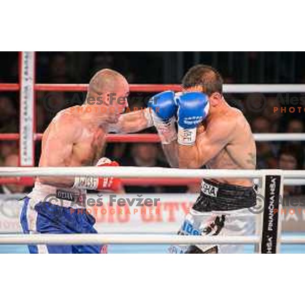 Dejan Zavec fights with Sasha Yengoyan for WBF world champion title in Tabor Hall, Maribor, 11.4.2015