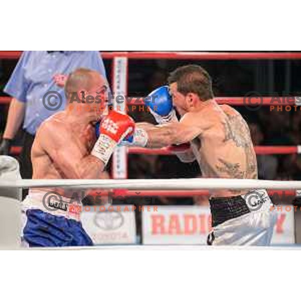 Dejan Zavec fights with Sasha Yengoyan for WBF world champion title in Tabor Hall, Maribor, 11.4.2015