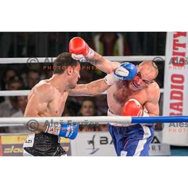 Dejan Zavec fights with Sasha Yengoyan for WBF world champion title in Tabor Hall, Maribor, 11.4.2015