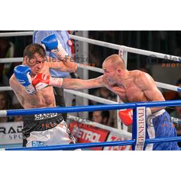 Dejan Zavec fights with Sasha Yengoyan for WBF world champion title in Tabor Hall, Maribor, 11.4.2015