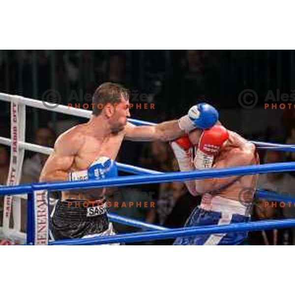 Dejan Zavec fights with Sasha Yengoyan for WBF world champion title in Tabor Hall, Maribor, 11.4.2015