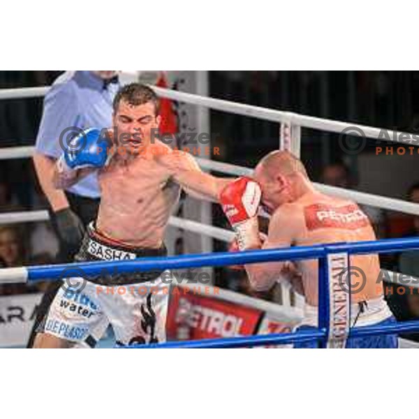 Dejan Zavec fights with Sasha Yengoyan for WBF world champion title in Tabor Hall, Maribor, 11.4.2015