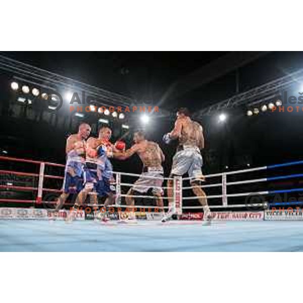 Dejan Zavec fights with Sasha Yengoyan for WBF world champion title in Tabor Hall, Maribor, 11.4.2015
