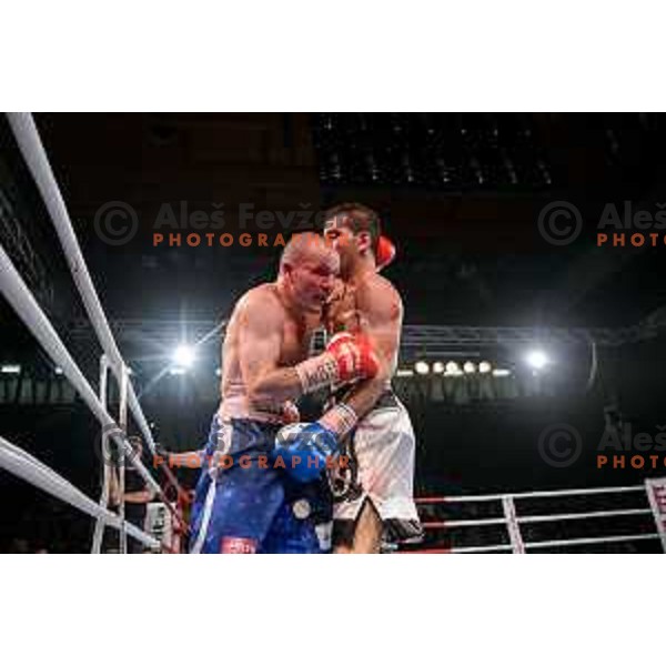 Dejan Zavec fights with Sasha Yengoyan for WBF world champion title in Tabor Hall, Maribor, 11.4.2015