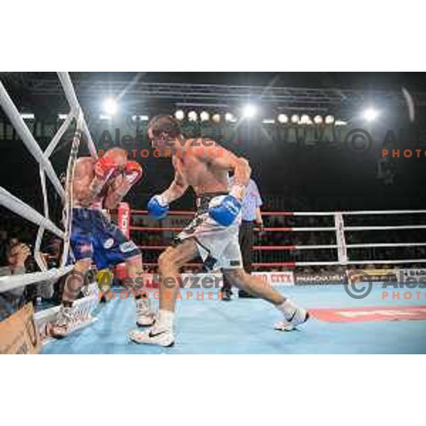 Dejan Zavec fights with Sasha Yengoyan for WBF world champion title in Tabor Hall, Maribor, 11.4.2015