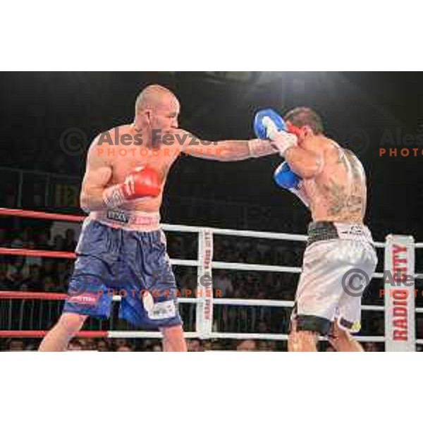 Dejan Zavec fights with Sasha Yengoyan for WBF world champion title in Tabor Hall, Maribor, 11.4.2015