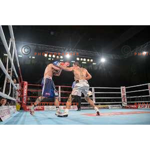 Dejan Zavec fights with Sasha Yengoyan for WBF world champion title in Tabor Hall, Maribor, 11.4.2015