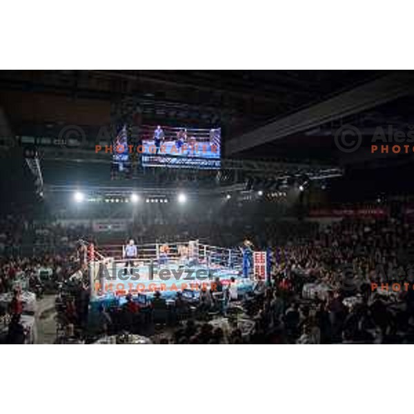 Dejan Zavec fights with Sasha Yengoyan for WBF world champion title in Tabor Hall, Maribor, 11.4.2015