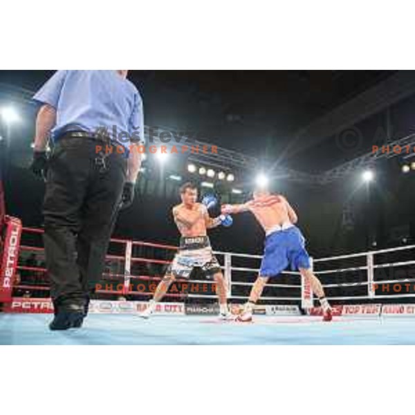 Dejan Zavec fights with Sasha Yengoyan for WBF world champion title in Tabor Hall, Maribor, 11.4.2015