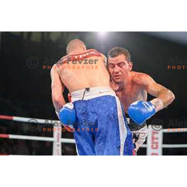Dejan Zavec fights with Sasha Yengoyan for WBF world champion title in Tabor Hall, Maribor, 11.4.2015