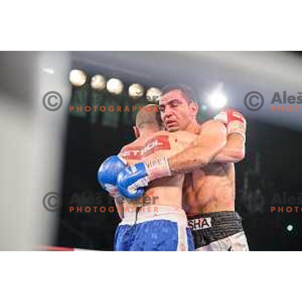 Dejan Zavec fights with Sasha Yengoyan for WBF world champion title in Tabor Hall, Maribor, 11.4.2015